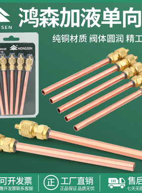 鸿森单向阀针阀冰箱加氟嘴HS-110 加液头冷媒雪种加注阀快速接头