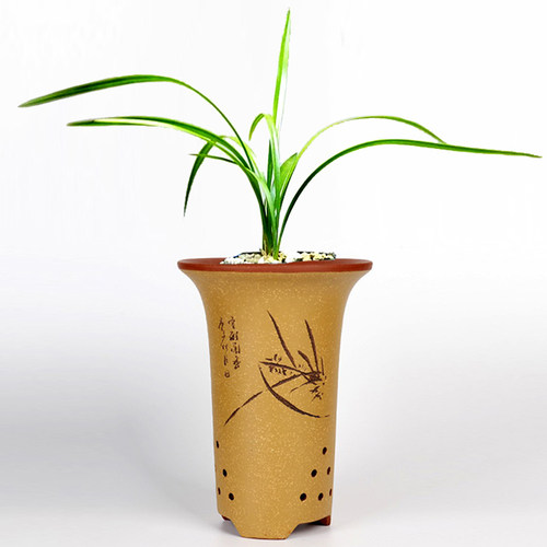 蔓木人紫砂宜兴兰花盆春兰建兰
