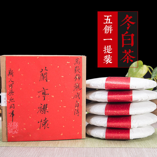福鼎白茶梅山茶徒1250g白茶