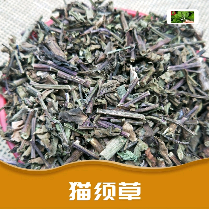 广西鸡骨草中药材种子