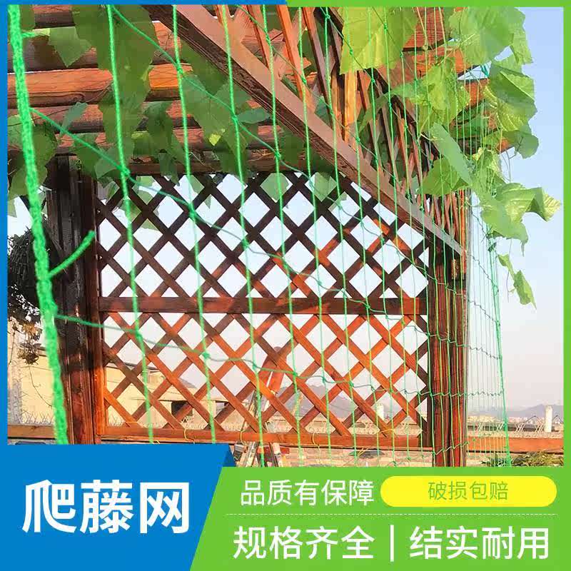 屋檐夏季爬藤网种植网豆角丝瓜家庭农用网蔬菜花卉荷兰豆尼龙网|ruв категории доставка цветов/цветок моделирования/растения садоводства, садовых принадлежностей, других садовых принадлежностей - от Buy2taobao.com для оказания профессиональной услуги покупки агента Taobao