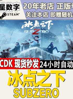 Steam正版国区KEY 冰点之下  SubZero 激活码CDKEY现货
