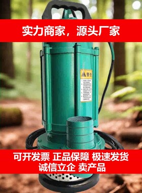 水泵潜水泵高压泵油浸泵清水泵750w1寸口径25mm