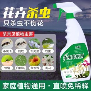 治花盆里的小飞虫养花喷雾剂阳台杀死小黑飞家有茶花植物花卉花土