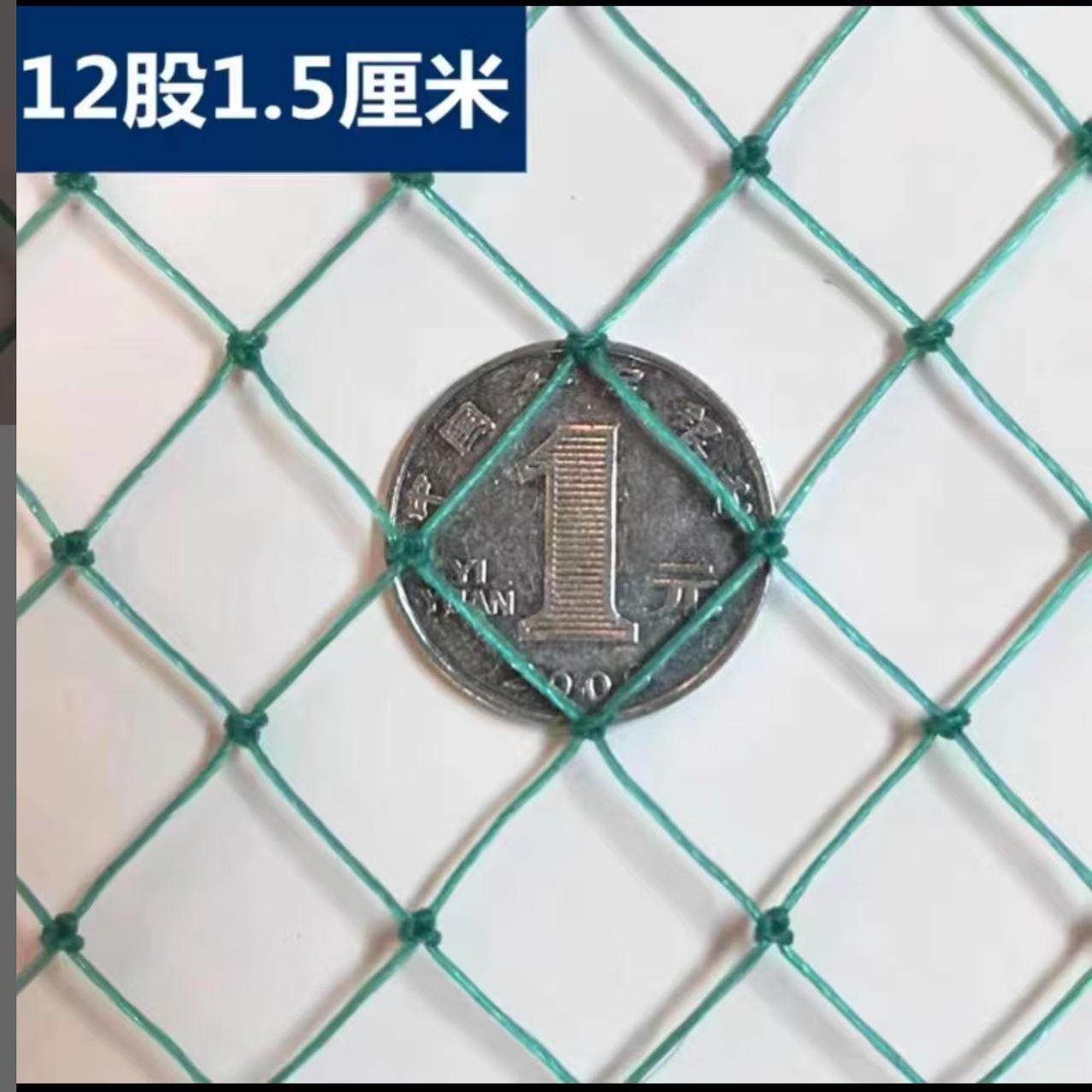 养殖网养鸡网尼龙网拦鸡网围鸡网护栏/隔离栏
