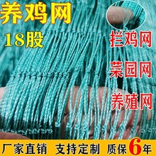 围栏养鸡网尼龙网菜园围栏网鸡网围网养殖网拦鸡网塑料网户外拦网