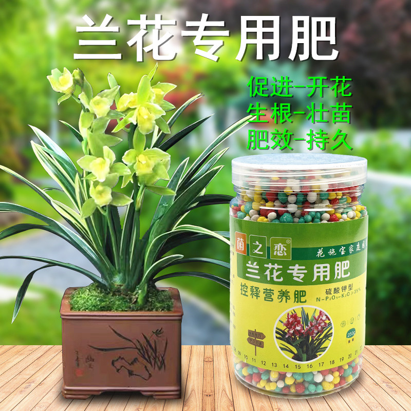 兰花专用肥兰花肥料花肥家用绿植盆栽植物专用氮磷钾颗粒控释肥料