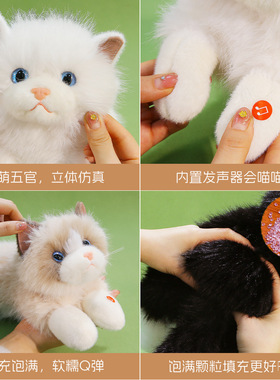 仿真会叫布偶猫咪毛绒玩具小猫玩偶抓机娃娃安抚儿童睡觉抱枕礼物