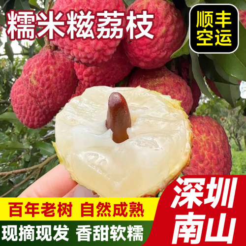 深圳南山糯米糍荔枝现摘现发包邮