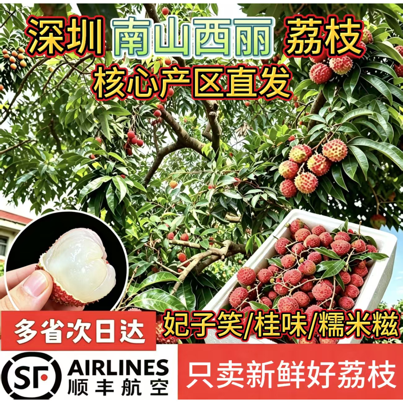 顺丰空运冷链深圳南山核心产区妃子笑荔枝当季现摘5斤装坏果包赔