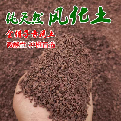 盆景专用天然风化土营养土