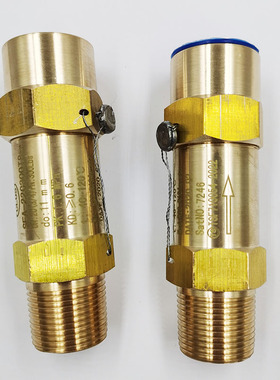 冷冻机SFA-22C300T1/T2/T3/T9 低温冷媒氟利昂空调制冷机安全阀