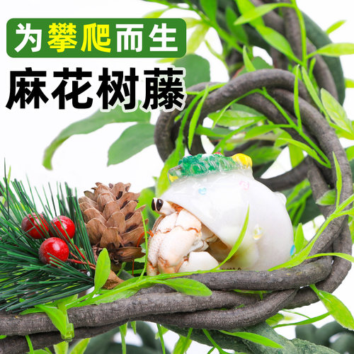 寄居蟹攀爬藤条吊床仿真多尺寸多规格造景缸爬宠树藤藤蔓装饰天津