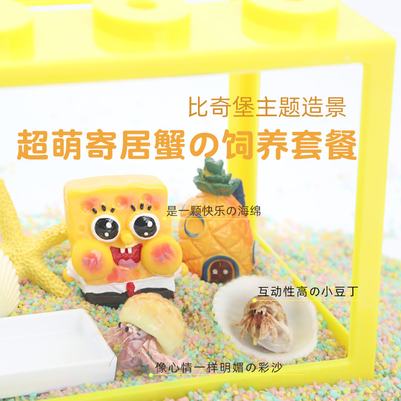 陌派寄居蟹新手饲养套餐套装～大号小号积木饲养盒萌宠豆丁活体,宠物/宠物食品及用品,生态瓶/创意缸/微景缸,淘宝优惠券,粉丝福利购,淘宝优惠卷
