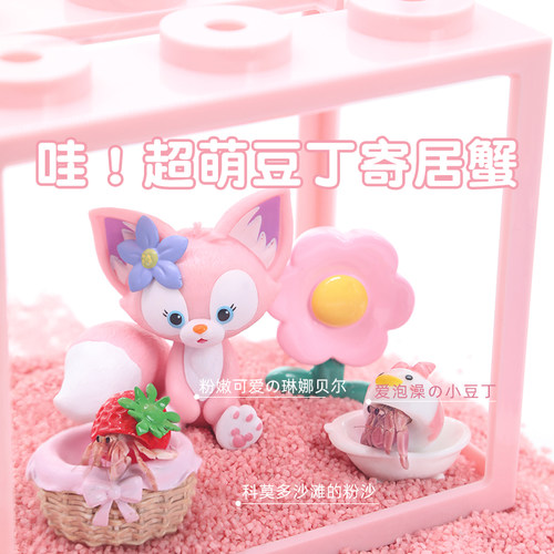 豆丁寄居蟹新手饲养套餐套装