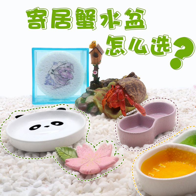 寄居蟹水盆泡澡盆食盆树脂双格陶瓷防溺水爬宠大号小号亚克力