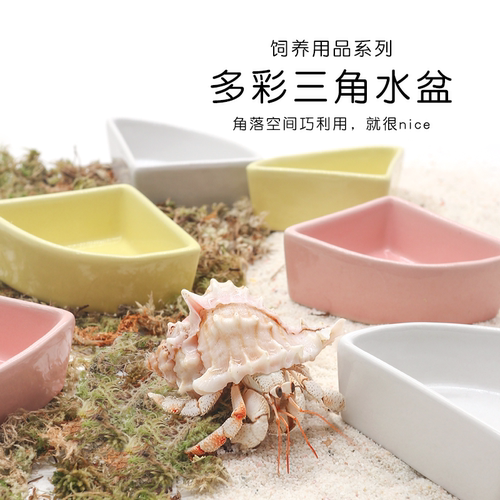 寄居蟹三角水盆角落空间巧利用