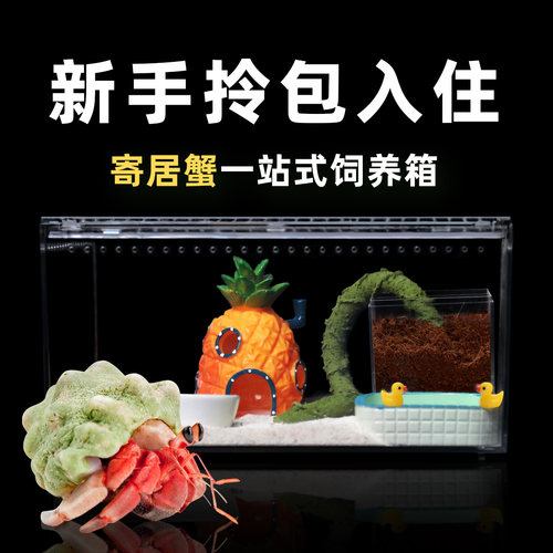 高透一体式饲养箱新手套餐套装