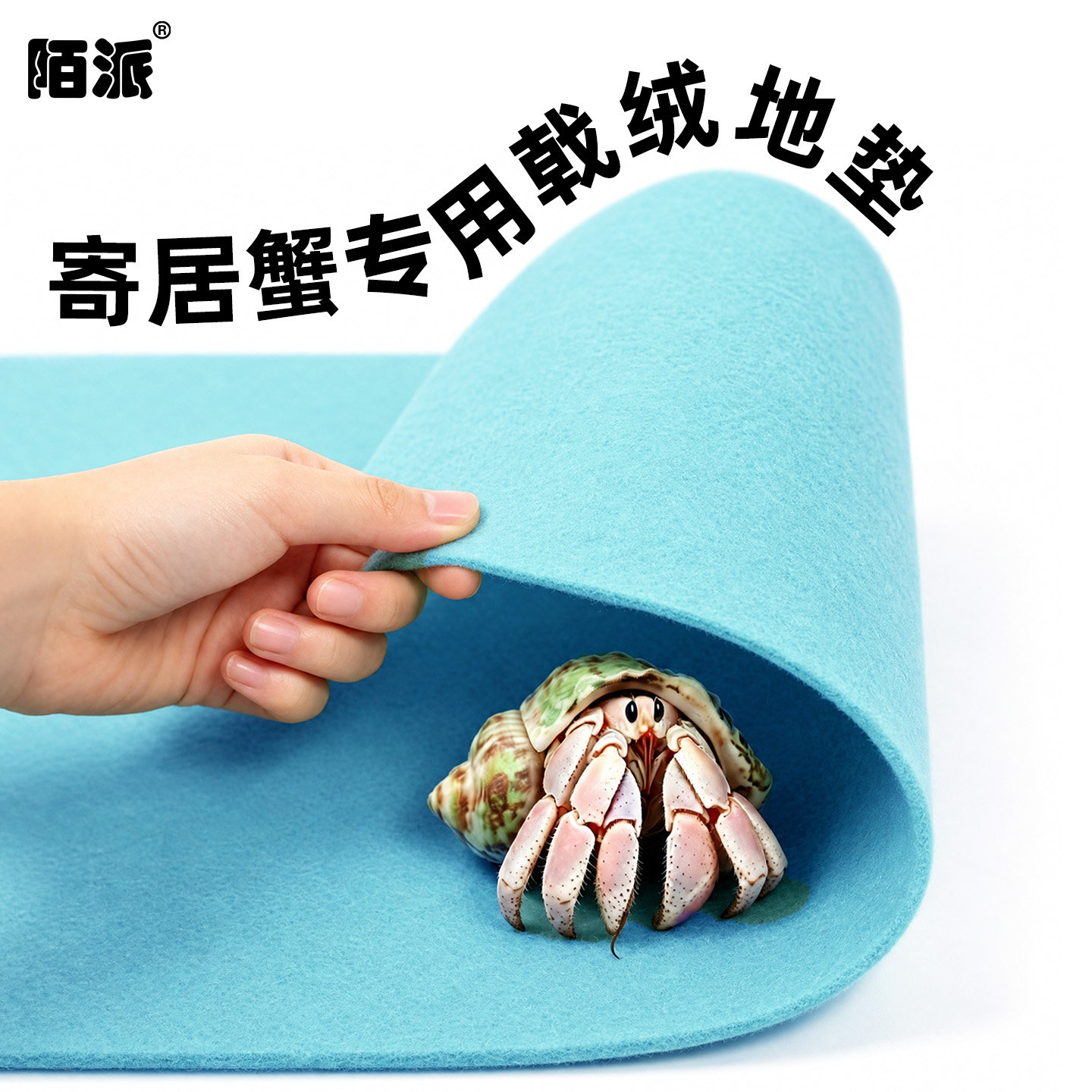 寄居蟹戟绒地垫～爬宠爬虫地毯垫材 多尺寸 多色可选 吸水可裁剪