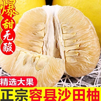 广西正宗容县沙田柚新鲜
