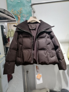 2025秋冬欧韩休闲棉服针织大领宽松百搭小个子加厚保暖短外套潮女