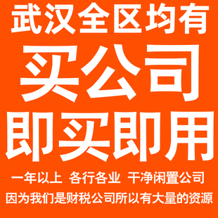 武汉一年以上信息咨询科技贸易实业劳务派遣公司转让法人股权变更