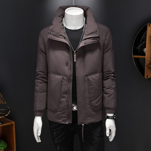 2024冬装新品男士白鸭绒羽绒服 D260-9883P205图片