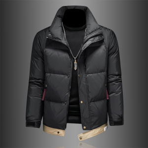 2024冬季男士新品羽绒服90白鸭绒宽松休闲羽绒衣1166P255,男装羽绒服,电商D260