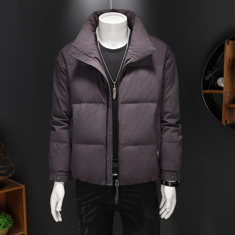 2025冬装新款男士立领羽绒服新标90白鸭绒外套2510p295,男装羽绒服,电商D260 2025冬装新款男士立领羽绒服新标90白鸭绒外套2510p295,男装羽绒服,电商D260