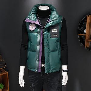 2024冬装新款男士立领羽绒马甲96012P135图片