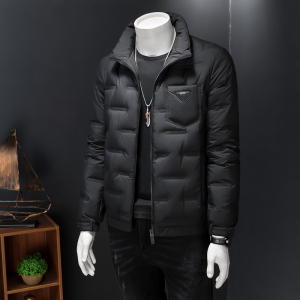 2025冬装新款男士立领羽绒服新标90白鸭绒轻薄款羽绒衣9966P235图片