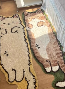 搞怪家用卧室床边毯客厅地毯衣帽间脚垫房间垫子客厅茶几加厚地垫