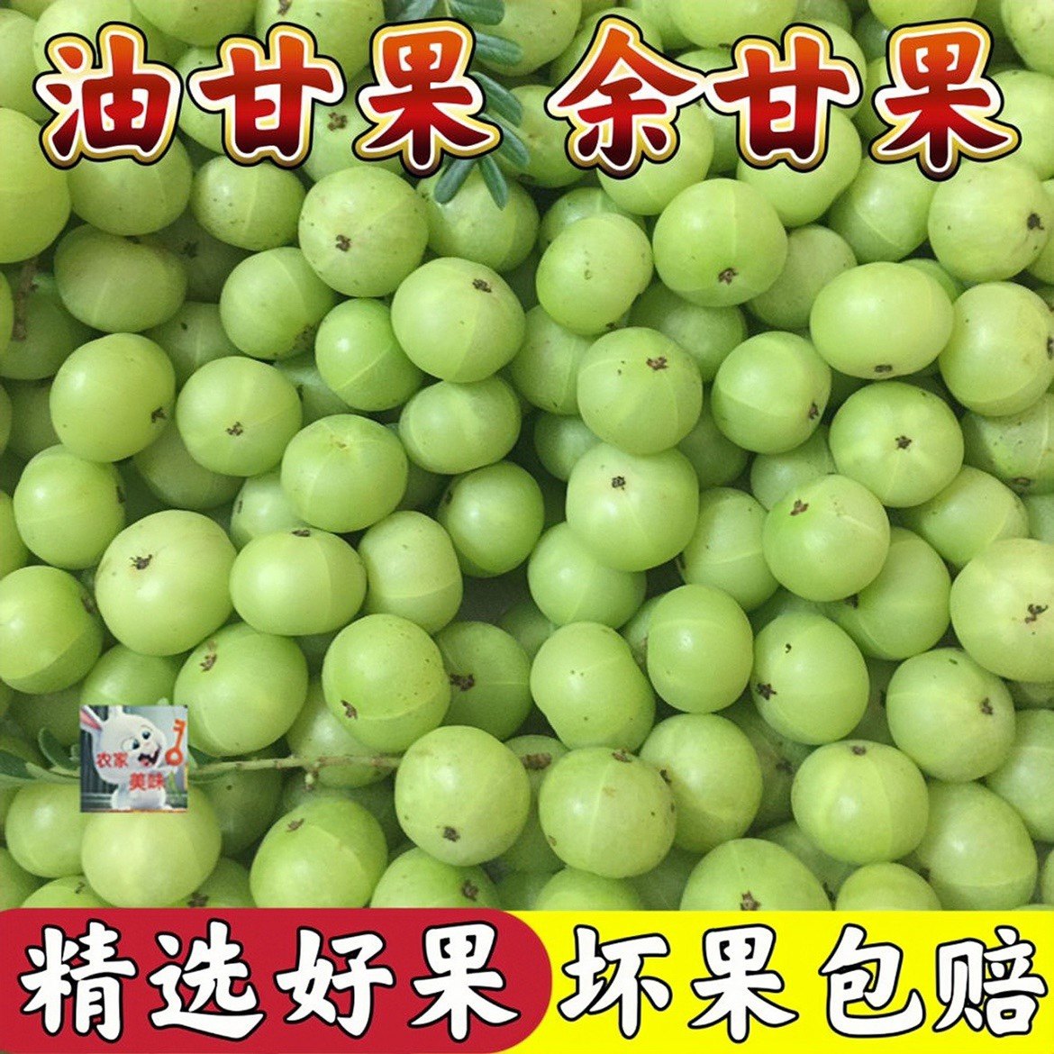 新鲜采摘青油甘果余甘果牛甘果滇橄榄当季油柑酸水果余甘子包邮,水产肉类/新鲜蔬果/熟食,油甘果,淘宝优惠券,粉丝福利购,淘宝优惠卷