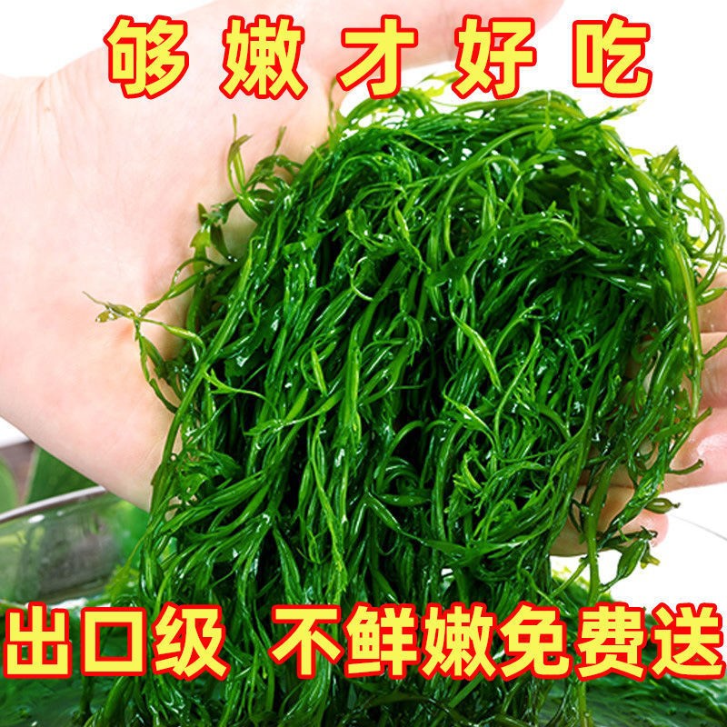 盐渍马尾藻海草装鞭炮笋海藻羊栖长寿菜凉拌麻辣烫火锅串串配菜