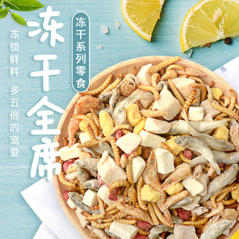 仓鼠金丝熊刺猬冻干零食营养组合