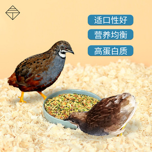 芦丁鸡产蛋粮全期育雏通用鹌鹑主粮面包虫营养蔬菜繁育饲料鸟谷物