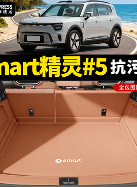 26款奔驰Smart精灵五号EHD后备箱垫全包围精灵＃5号汽车防水尾垫