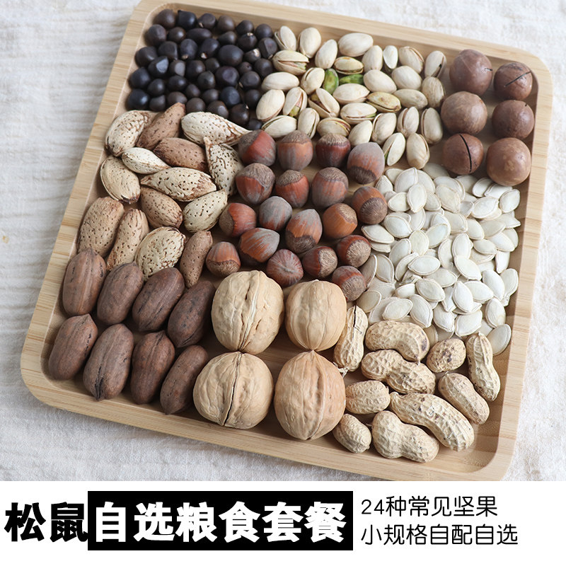 松鼠粮食主粮零食黄山飞鼠吃的主食饲料松子生坚果套餐用品榛子,宠物/宠物食品及用品,玩具/造景装饰,淘宝优惠券,粉丝福利购,淘宝优惠卷