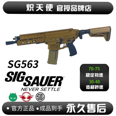 SIGSG563代组成品玩具模型
