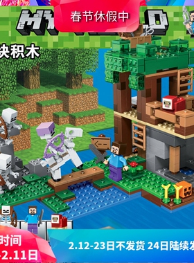 中国积木我的世界21146骷髅攻袭竞技场儿童益智拼装玩具礼物10989