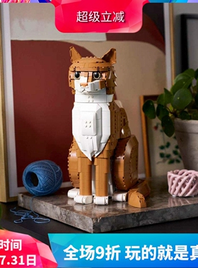 中国积木创意系列橘猫橙色的猫21376宠物儿童拼装玩具男女孩礼物