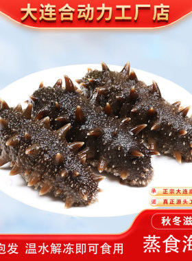 大连海参开袋即食蒸食海参8-10头