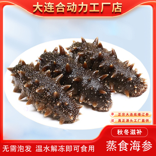 大连海参开袋即食大连淳古蒸食海参8-10头自吃礼盒包装