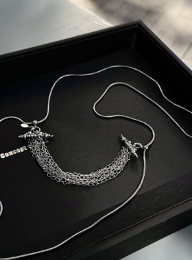 conceptofskin 新品极简百搭男女配饰闪闪流苏项链毛衣链新年礼物