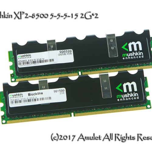 kin Enhanced 991599、996599，DDR2-1066MHz CL5 2G*2套装。议价
