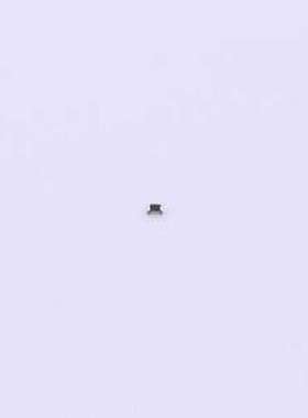 CRCW0201100RFNED 贴片电阻 厚膜电阻 100Ω ±1% 50mW 0201