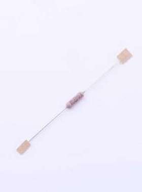 RFS01J1000A520NH 插件电阻 保险电阻 100Ω ±5% 1W 插件,D3xL9m