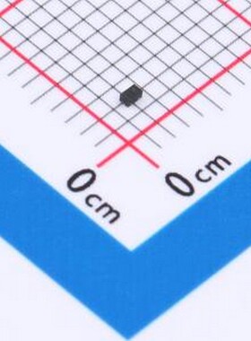 1N4448L 开关二极管 1N4448L DFN-2L(1x0.6)