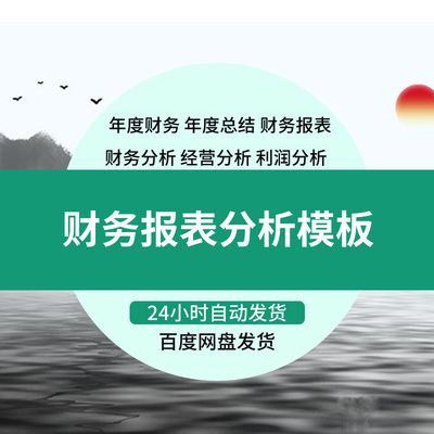 财务报表电子文档分析报告word成品企业上市公司案例模板总结汇报