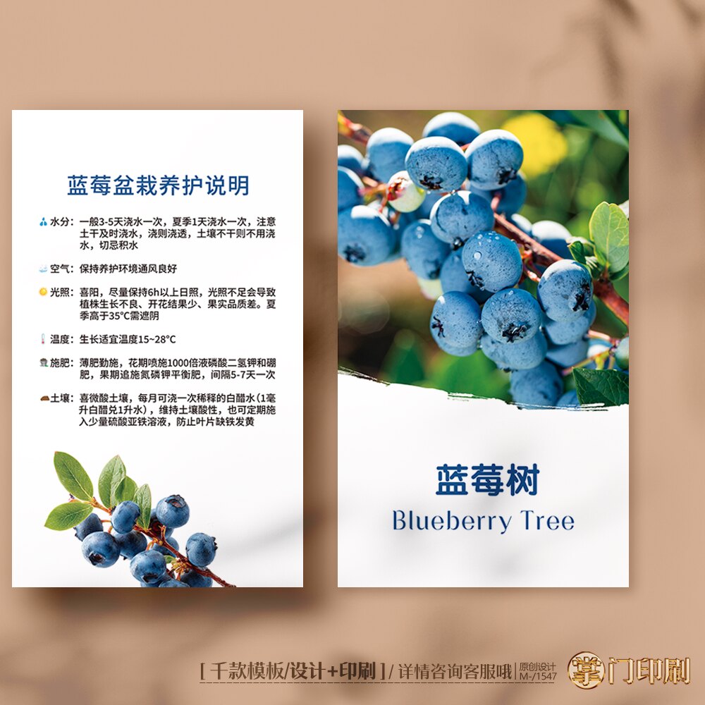 蓝莓树养护卡蓝莓树盆栽养护卡蓝莓树种植养殖卡片定制